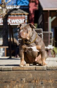 Exquisite's Mo Money Mo Problems