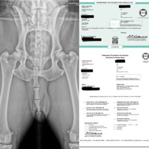 FINALS HIPS + ELBOWS image
