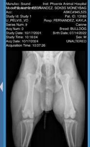 FINALS HIPS + ELBOWS image